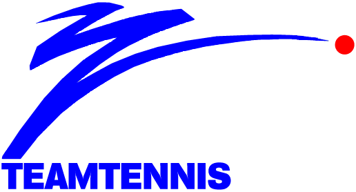 World TeamTennis 1983-1984 Primary Logo iron on paper